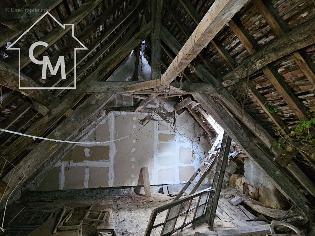 Maison à LE BLANC