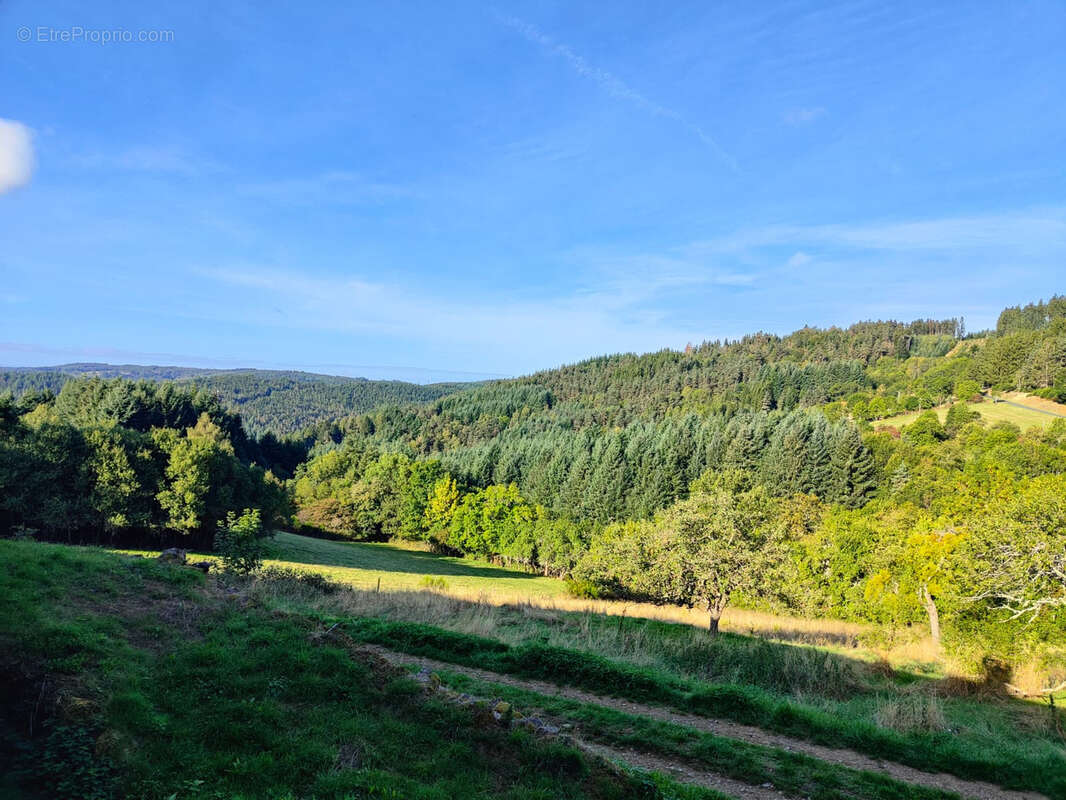 Maison à SAINT-VERT