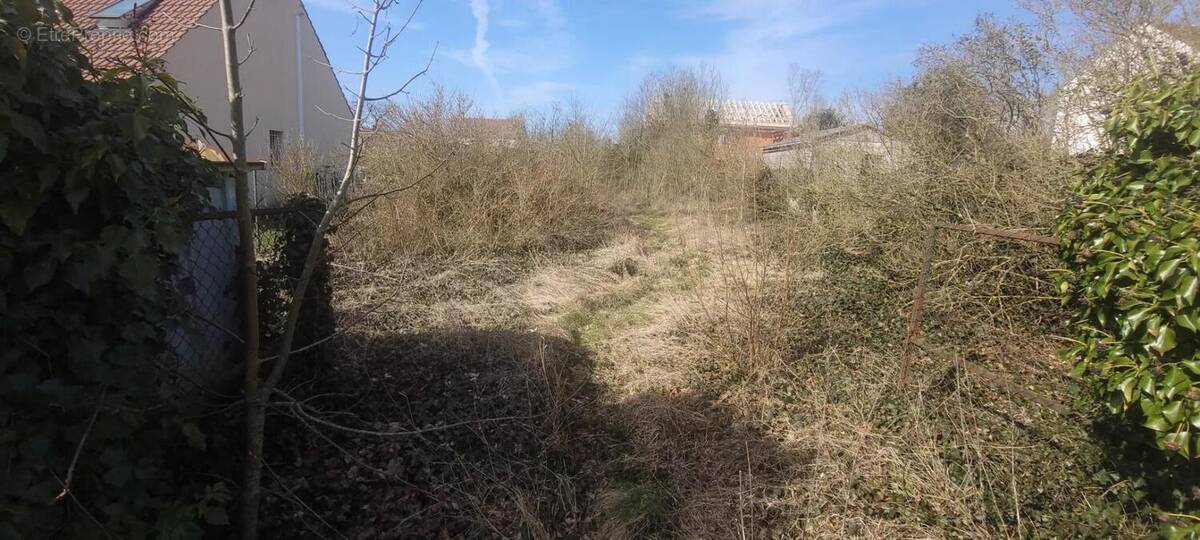 Terrain à EPIAIS-RHUS