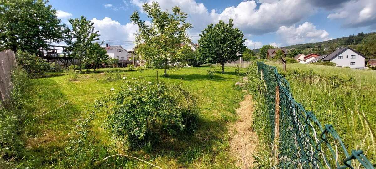 Photo 2 - Terrain à LUTZELHOUSE