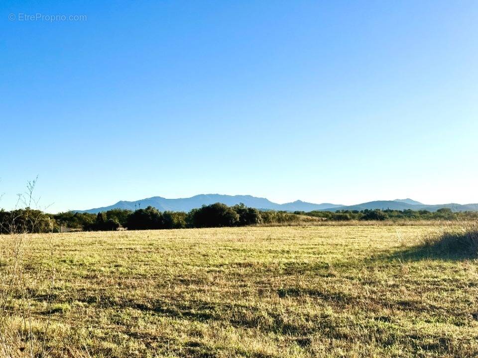 Terrain à VILLENEUVE-DE-LA-RAHO