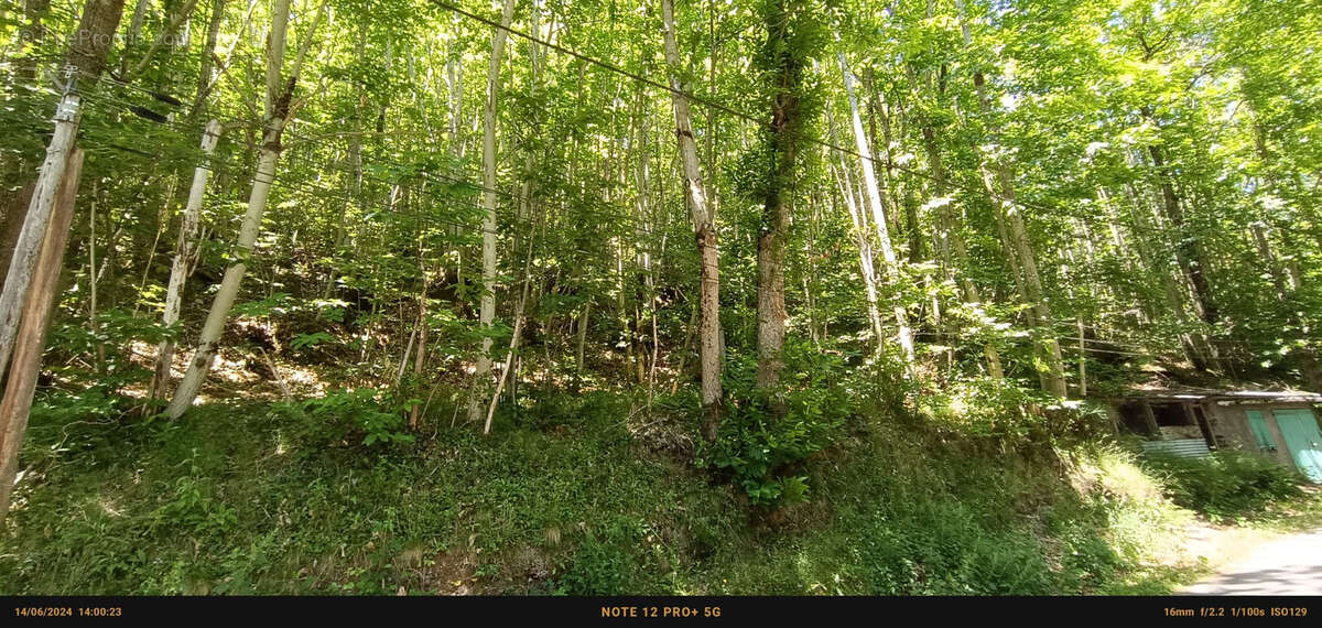 Terrain à CAUDEBRONDE