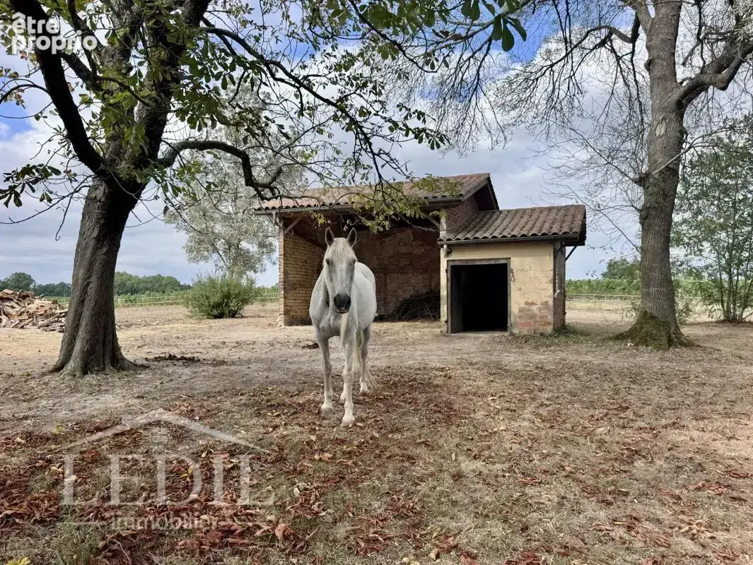 Propriété de caractère sur 2,5 ha avec vue, deux habitations et dépendances - photo 7