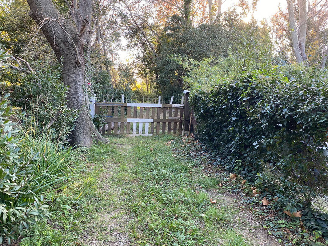 Terrain à LE SOLER