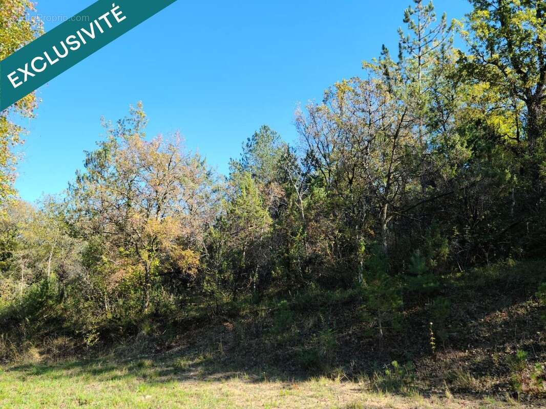 Photo 2 - Terrain à LUZECH