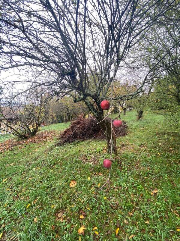 Terrain à SAINT-LAURENT-EN-ROYANS