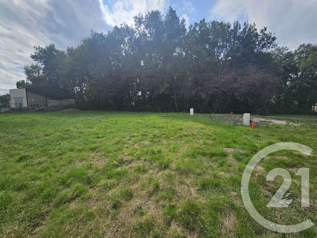 Terrain à MONTBARTIER