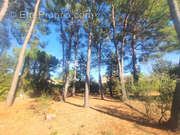 Maison à CASTELNAU-LE-LEZ