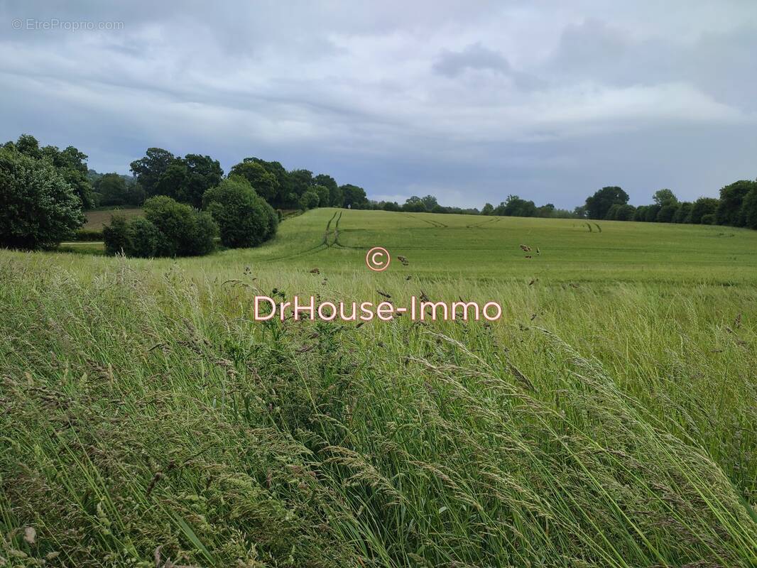 Terrain à LA LANDE-PATRY