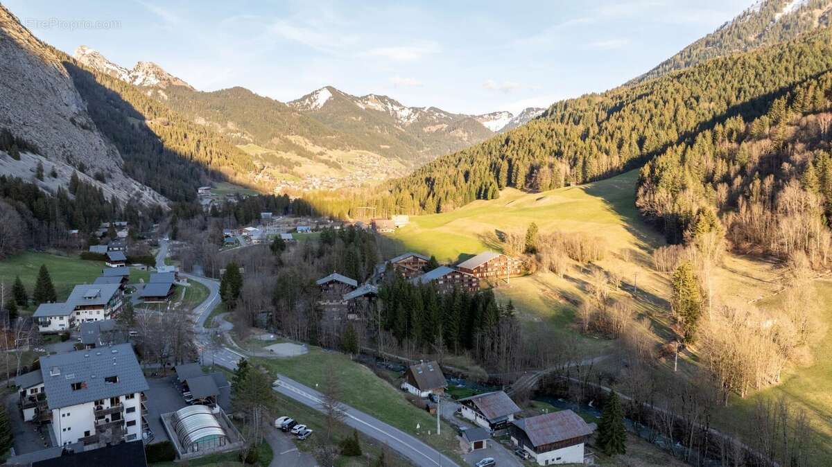 Terrain a vendre abondance - photo 5
