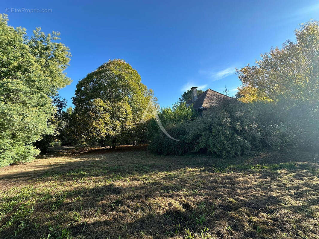 Terrain à BUZET-SUR-TARN