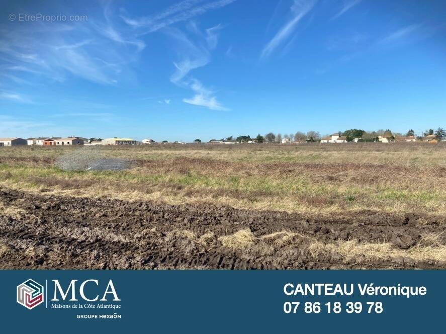 Terrain à SAINT-GEORGES-DE-DIDONNE