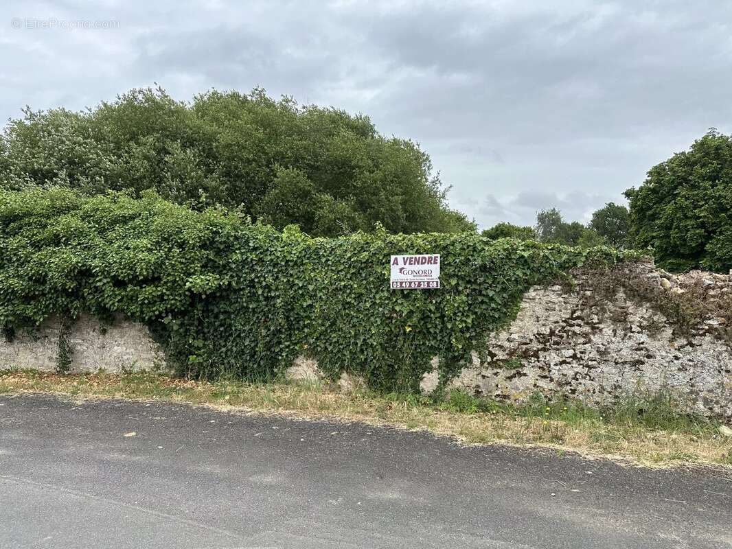 Terrain à SAINTE-VERGE