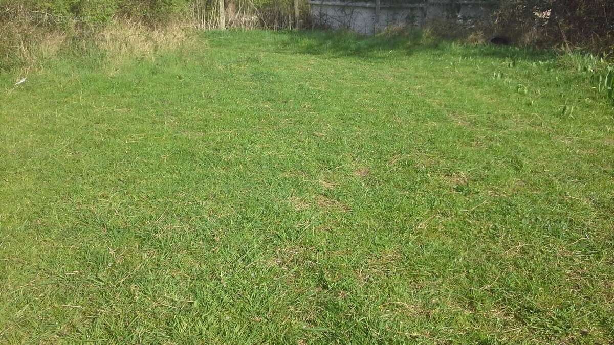 Terrain à bâtir de 450 m² à BOISSISE-LA-BERTRAND (77) - photo 2