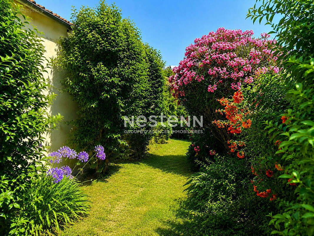 Maison - Golfe-Juan - Proche de la mer - Exposée SUD - Grand Jardin - photo 3