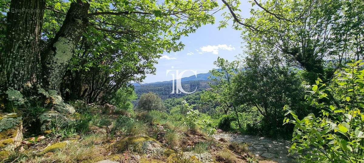 Maison à SAINT-PIERRE-SAINT-JEAN