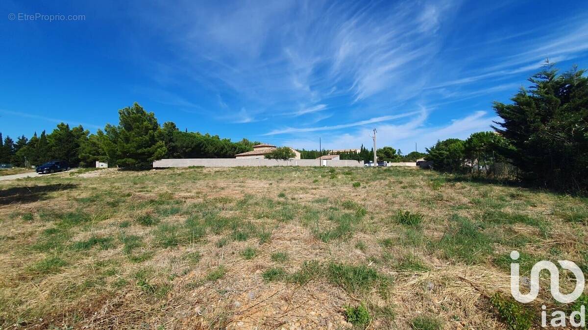 Photo 1 - Terrain à LA PALME