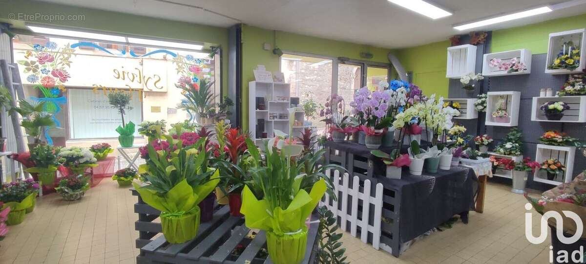 Photo 3 - Commerce à SAINT-PIERRE-D&#039;ALBIGNY