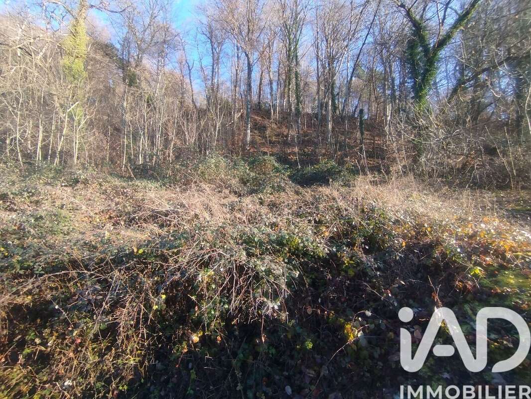 Photo 7 - Terrain à CESARCHES