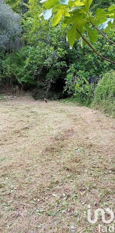 Photo 3 - Terrain à BREIL-SUR-ROYA