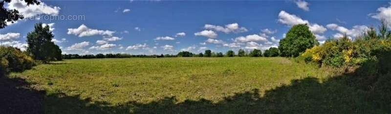 Terrain à MONT-DE-MARSAN