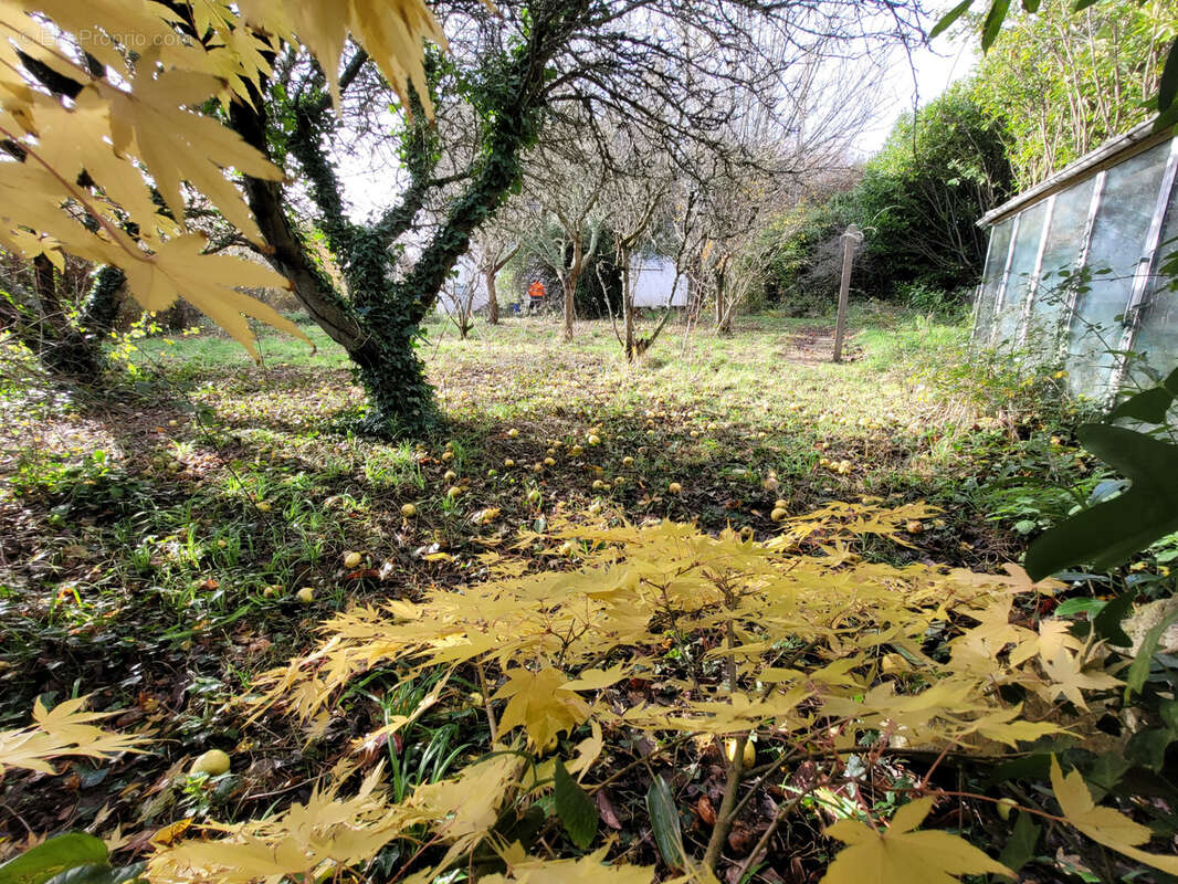 Maison à TREBEURDEN