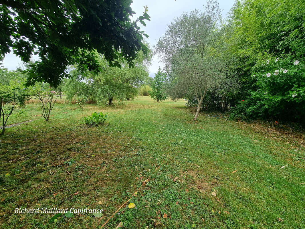 Maison de caractère de 1889, entièrement rénovée, sur un terrain arboré de 2 450 m² - Finhan (82) - photo 27