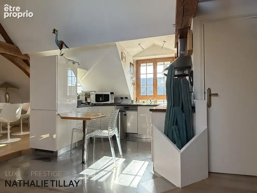 Appartement esprit loft, a vendre, Face Loire Orleans, dernier etage en hotel particulier - photo 9
