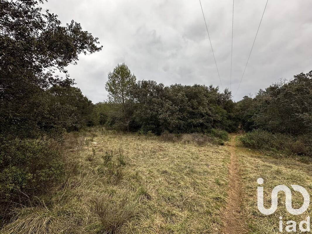Photo 1 - Terrain à BERNIS