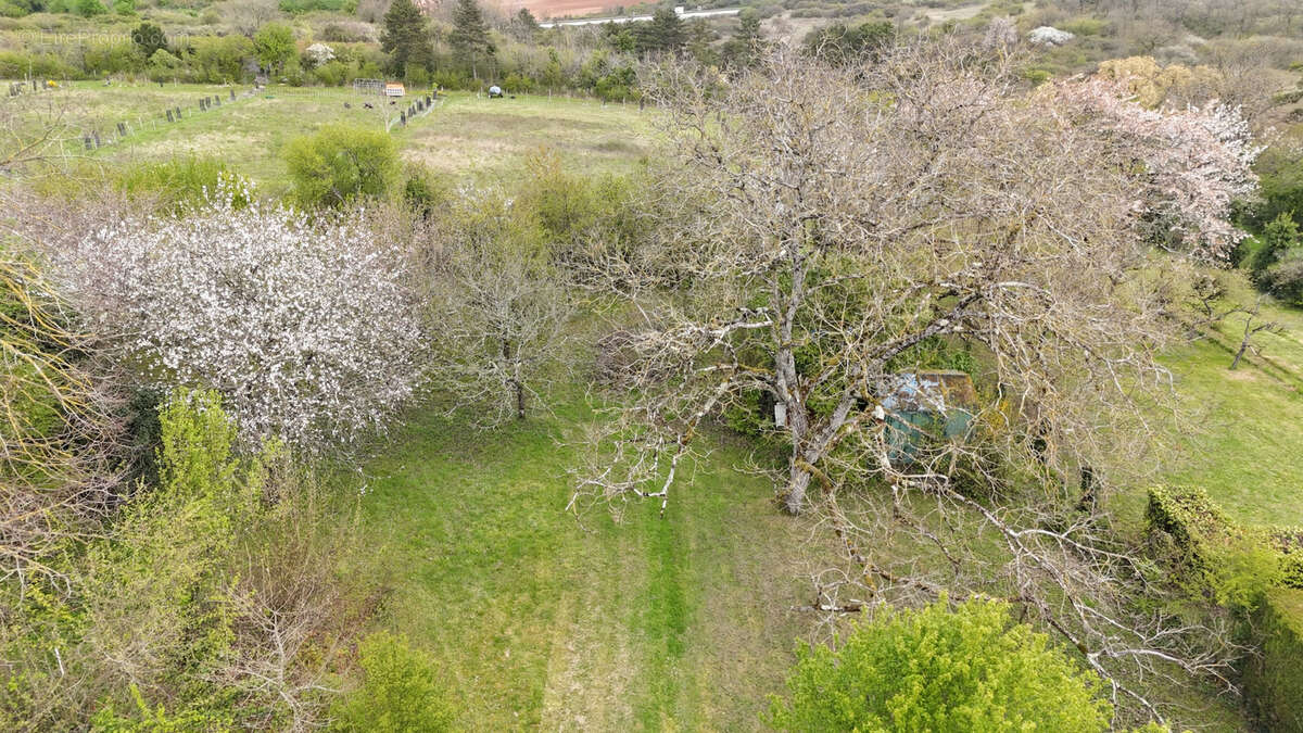 Maison à BUXEROLLES