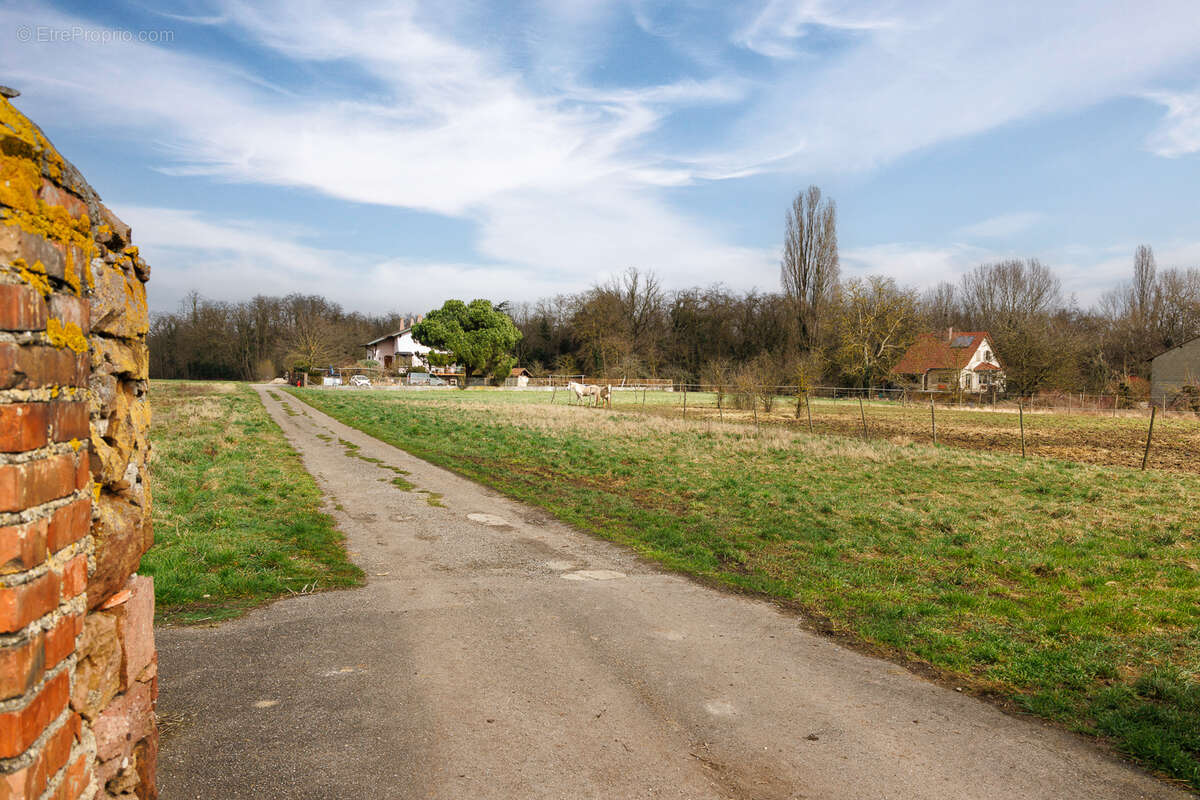 Terrain à NIEDERHERGHEIM