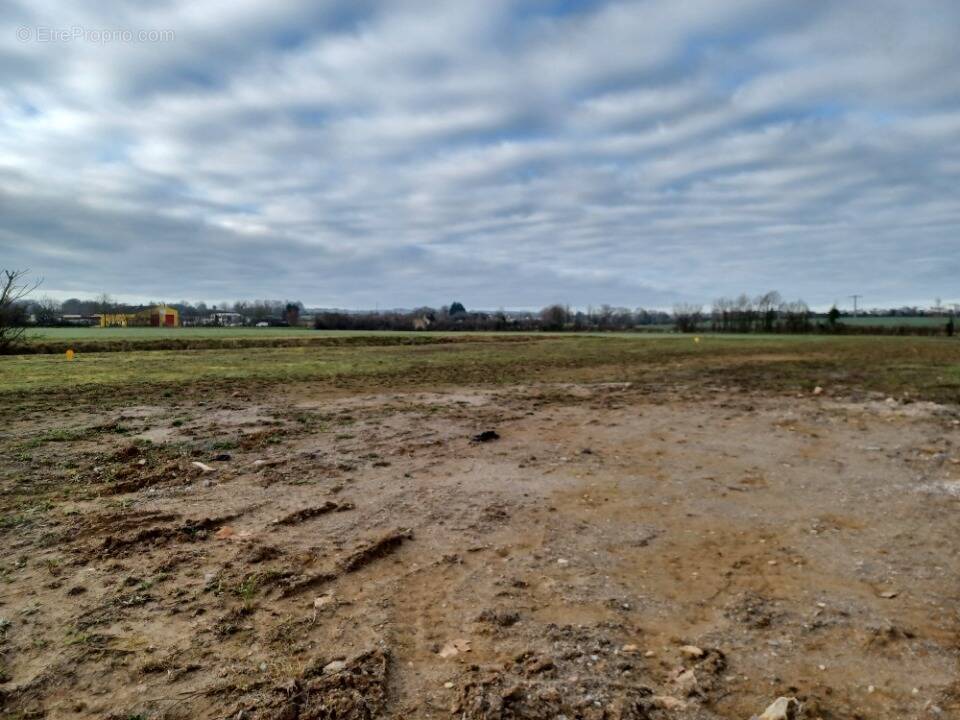 Terrain à ASSE-LE-BOISNE