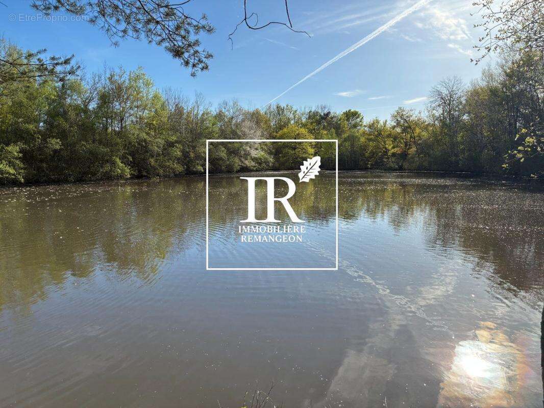 Est sologne propriete de 35ha avec etang - photo 2