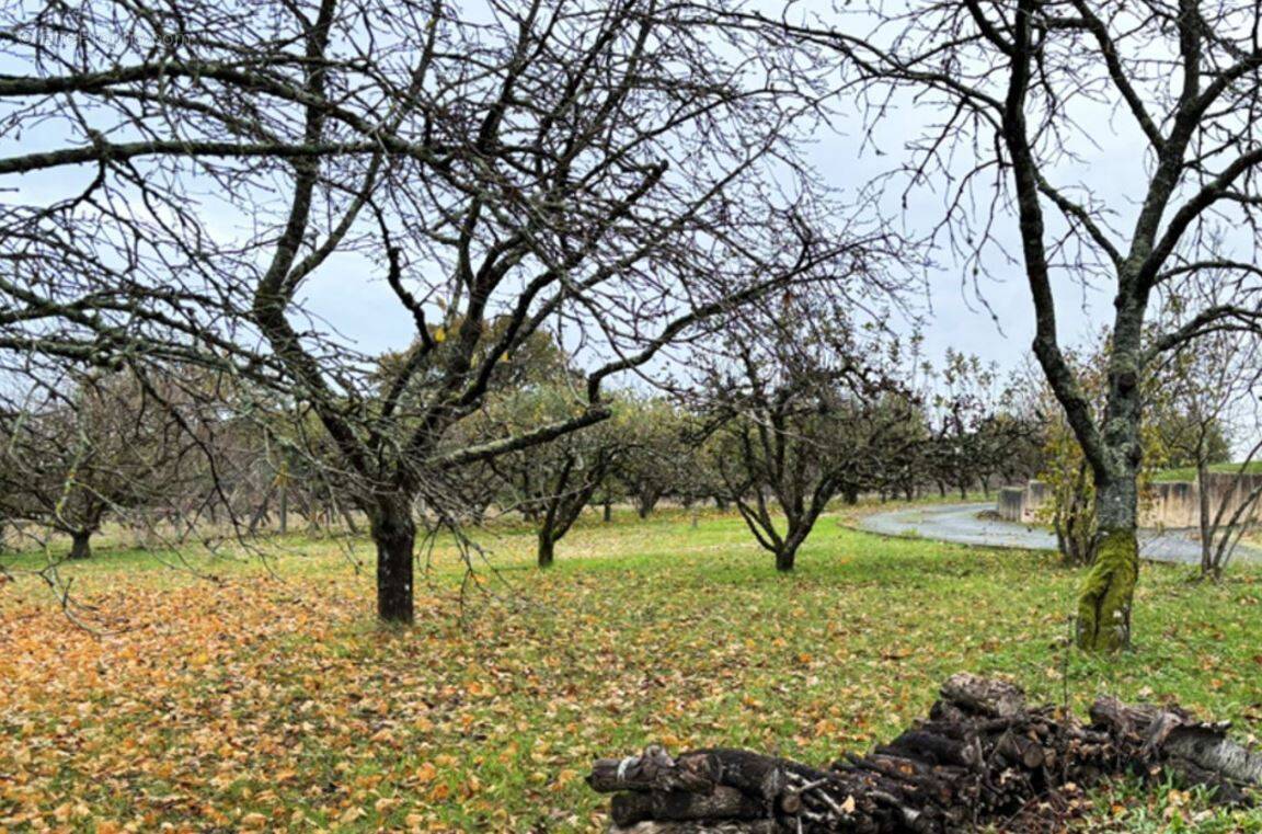 Terrain à LA ROCHE-POSAY