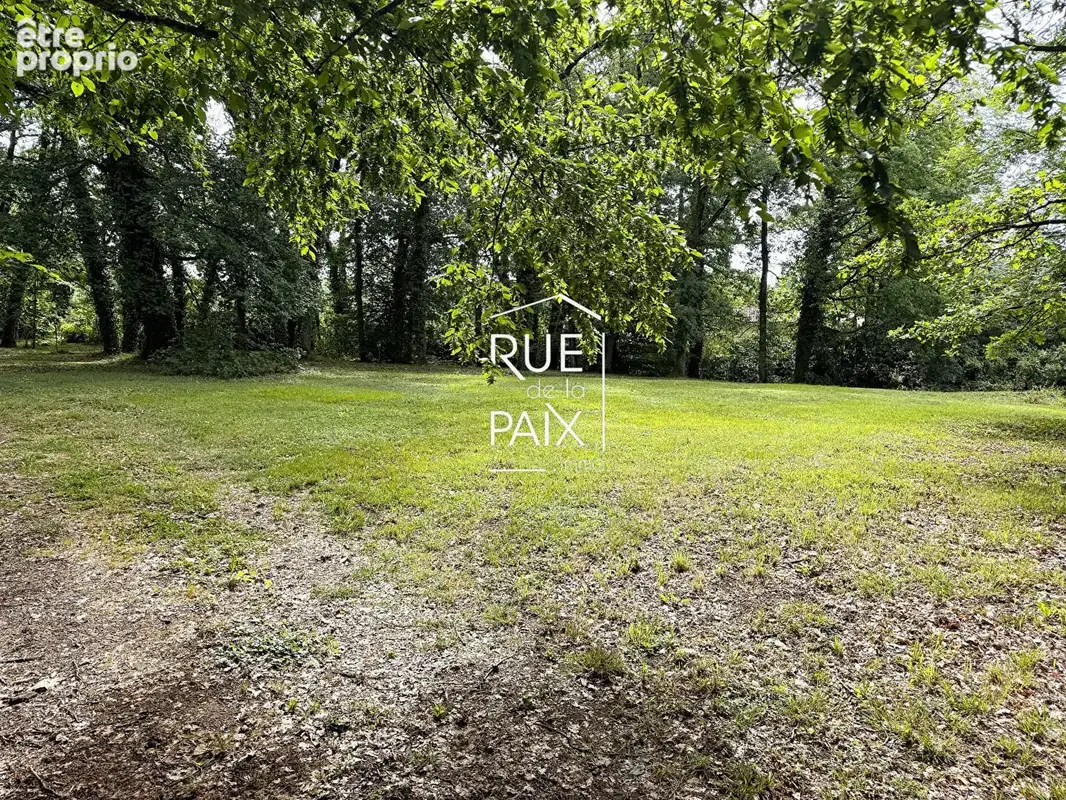 Magnifique propriété Latillé - 283.96 m2 - photo 11