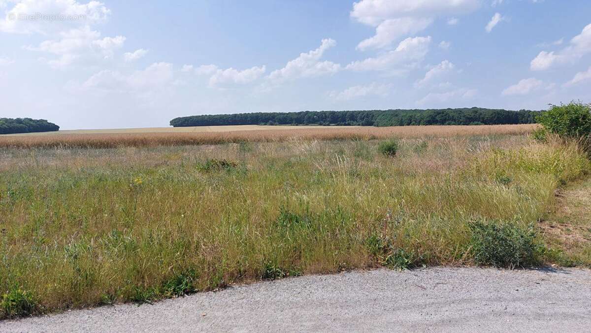 Terrain à BRECY
