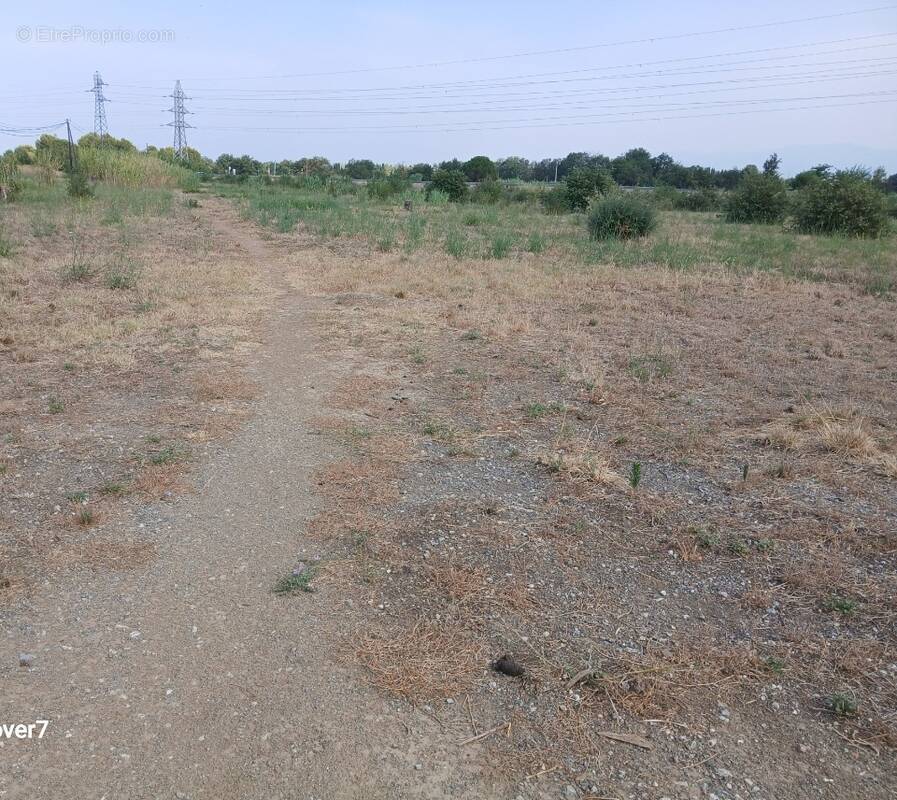 Terrain à PERPIGNAN