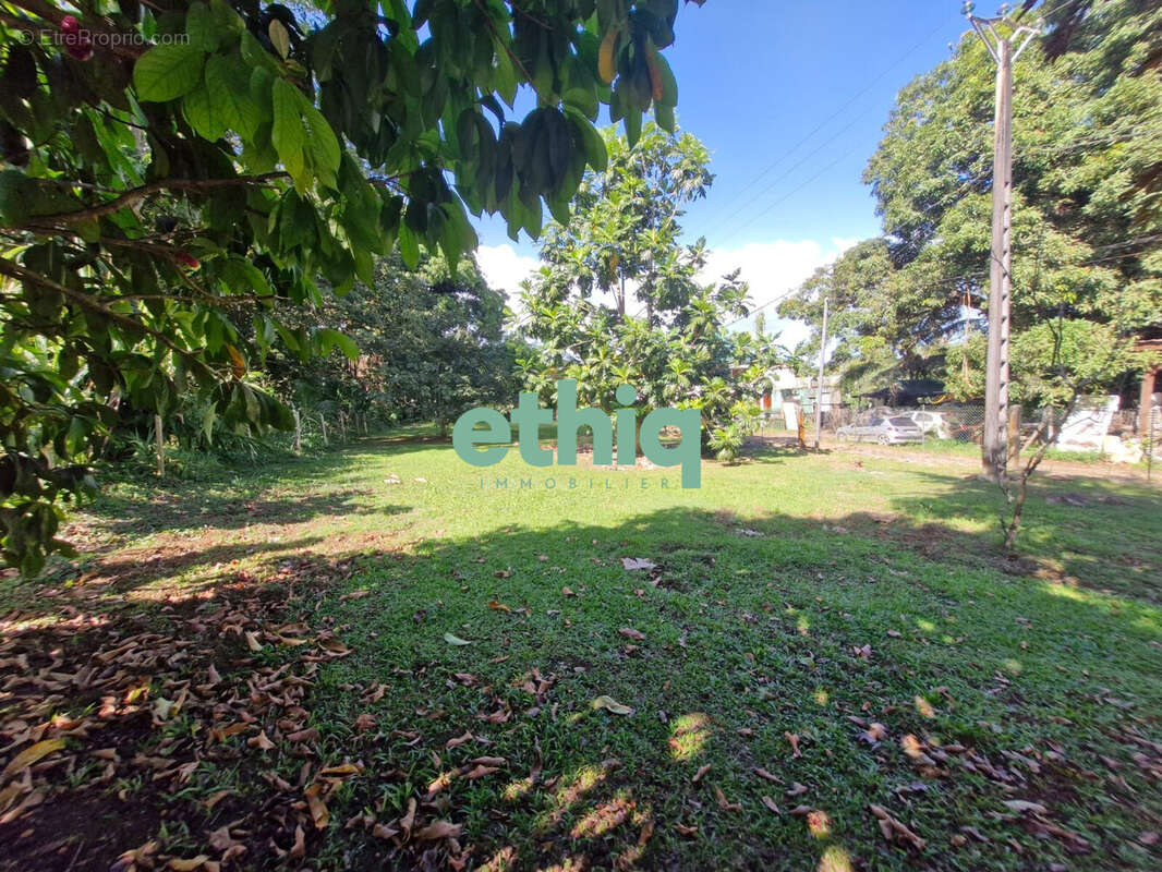 Terrain à SAINTE-ROSE