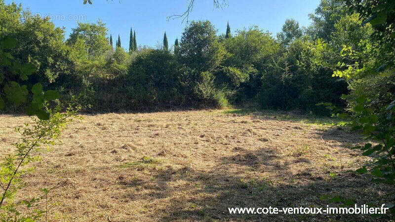 Terrain constructible viabilisé - 660 m² - photo 5
