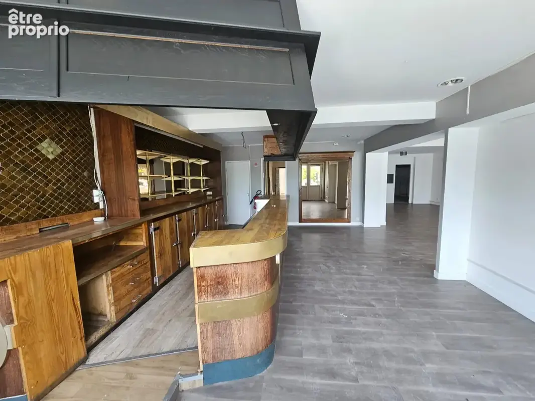 NOUVEAU ! Grande maison de 258m2 avec un large séjour lumineux de plus de 100m2, 4 chambres et un immense jard - photo 15