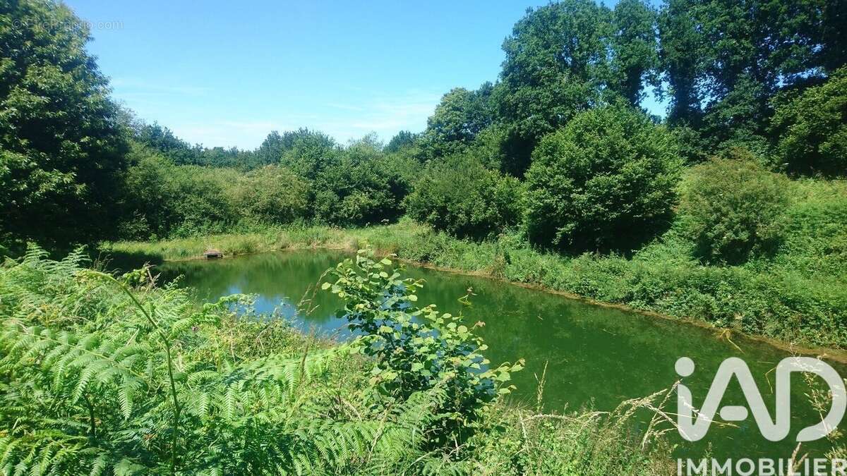 Photo 8 - Terrain à PLEMET