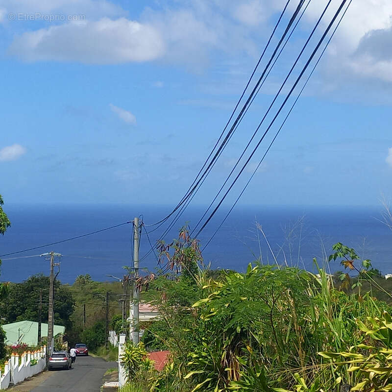Terrain à VIEUX-HABITANTS