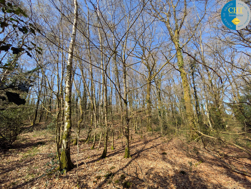 Terrain à CAMPENEAC