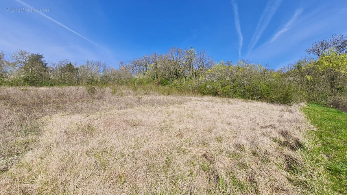 Terrain à GALLARDON