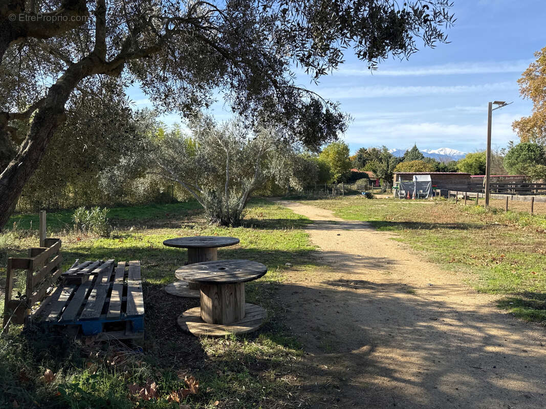 Maison à SAINT-JEAN-PLA-DE-CORTS
