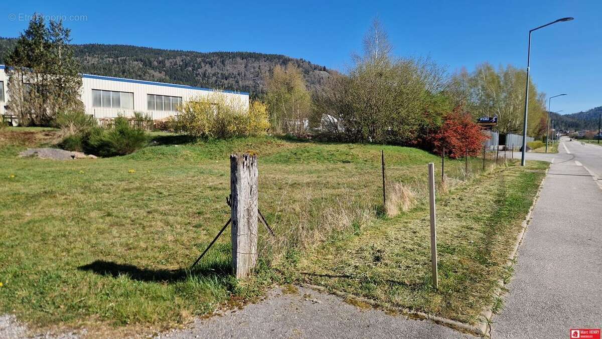 Terrain à SAINT-AME