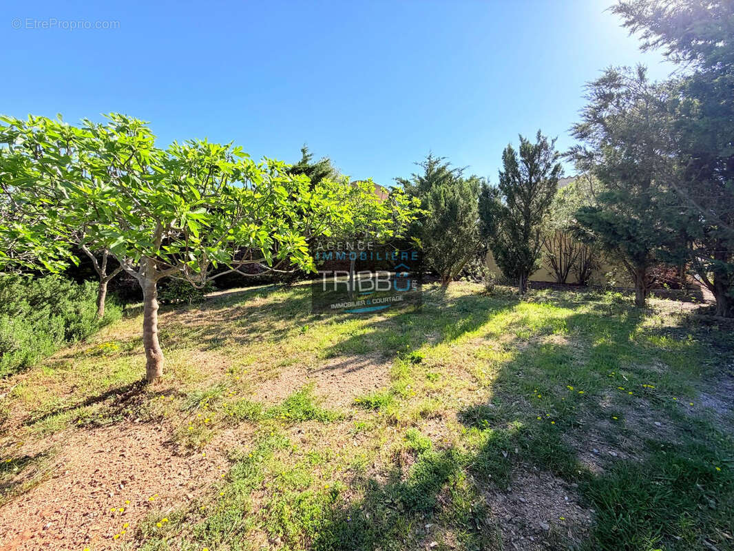 Maison à CASTELNOU