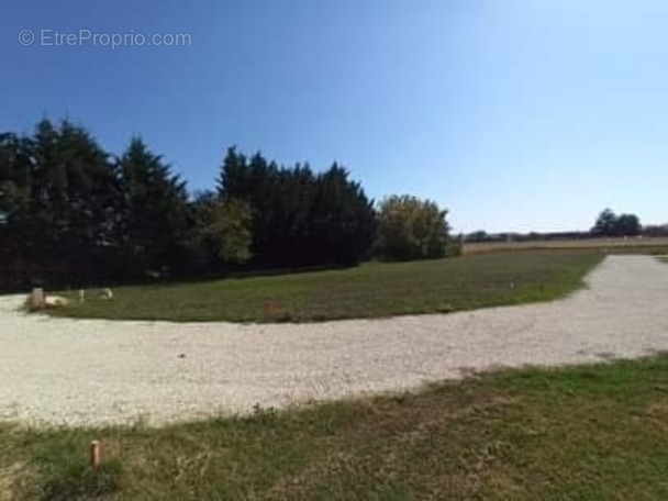 Terrain à CASSENEUIL