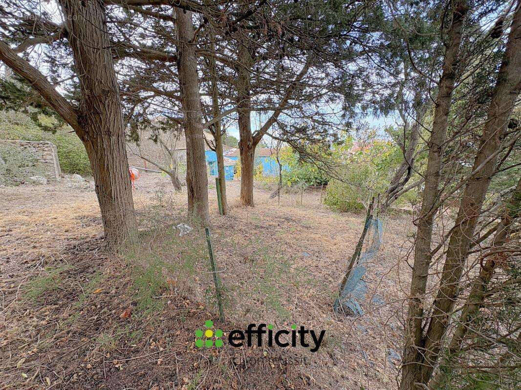 Maison à THEZAN-DES-CORBIERES