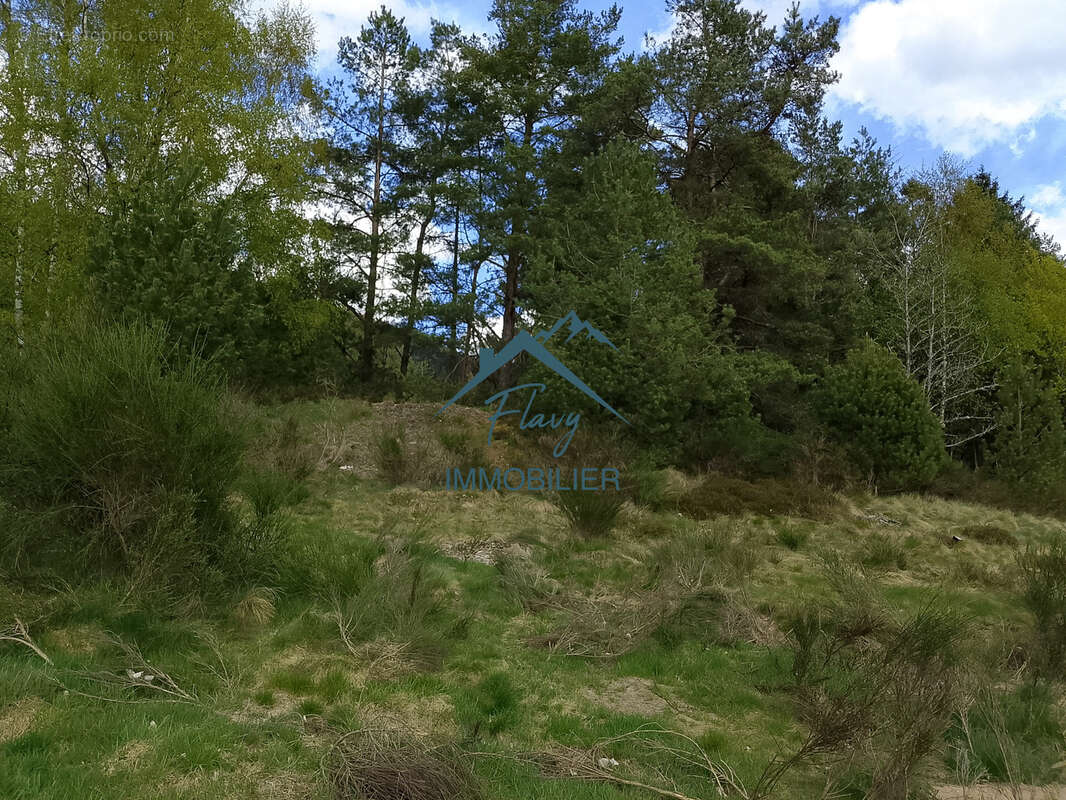 Appartement à GERARDMER